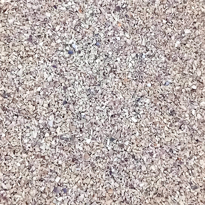 Gusci d'ostriche 25 Kg