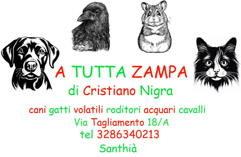 A Tutta Zampa